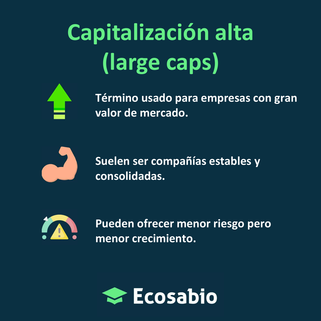 Capitalizacion Alta Large Caps